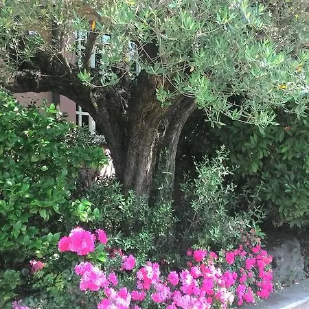 Il Corallo Snc Hotel 3*